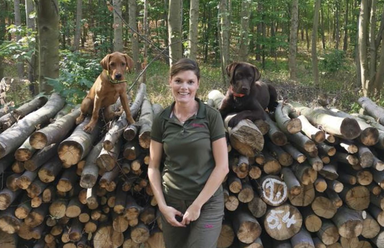 Frau steht zwischen einem Holzstapel im Wald, links ein junger rotbrauner Hund, rechts ein ausgewachsener brauner Labrador Retriever