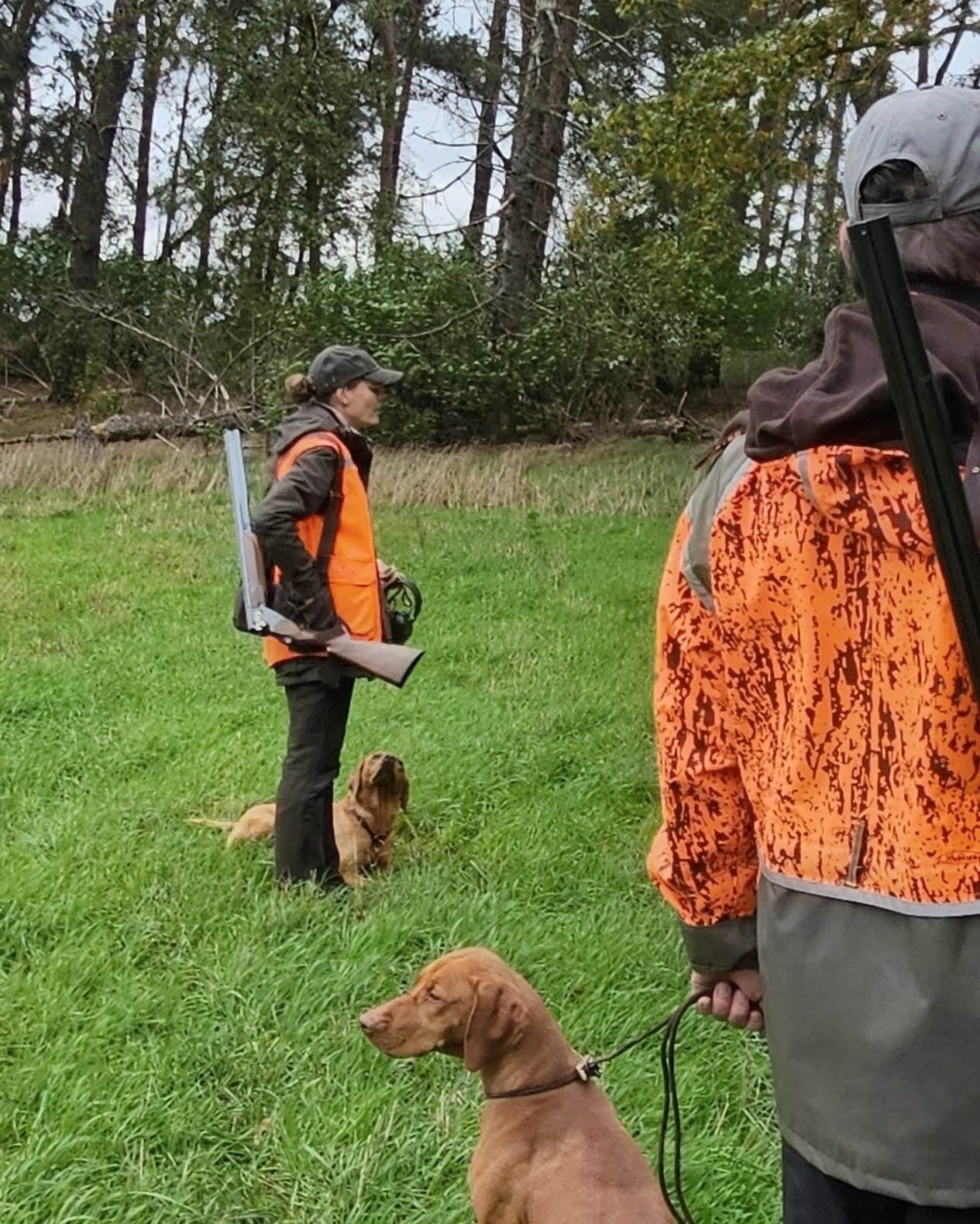 Zwei Jägerinnen mit Hunden und Jagdausrüstung stehen auf einer Wiese am Waldrand