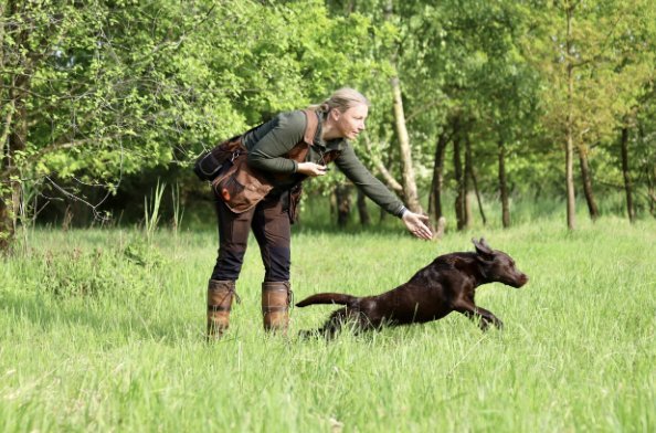 SL JollyChoc's Hunter beim Training auf der Wiese